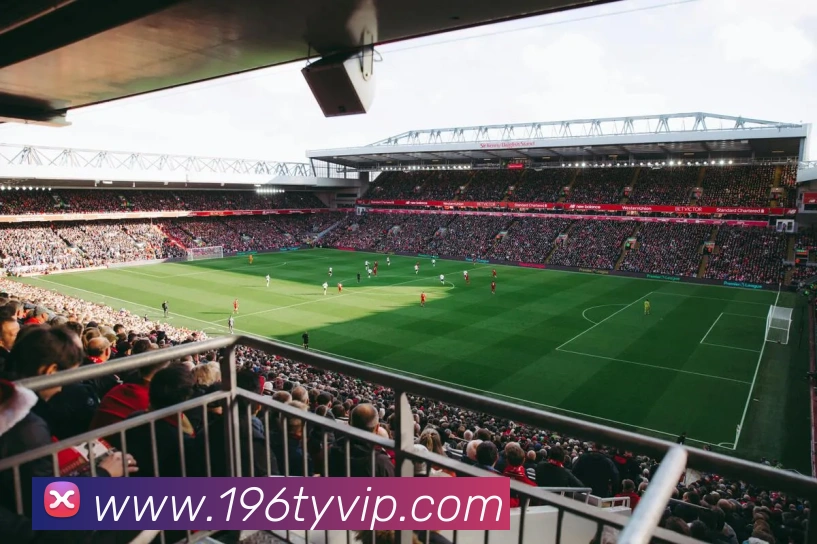 196体育APP 体育赛事宣传图